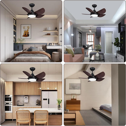 Ceiling Fans with Lights 22 inch Quiet Ceiling Fan Large Airflow Remote Control 3 Color Temperature for Bedroom Kitchen Dining Room Patio