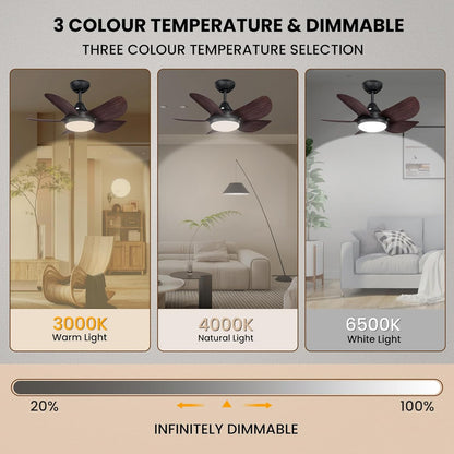 Ceiling Fans with Lights 22 inch Quiet Ceiling Fan Large Airflow Remote Control 3 Color Temperature for Bedroom Kitchen Dining Room Patio