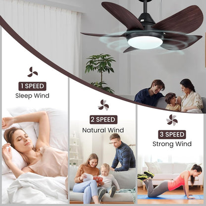 Ceiling Fans with Lights 22 inch Quiet Ceiling Fan Large Airflow Remote Control 3 Color Temperature for Bedroom Kitchen Dining Room Patio