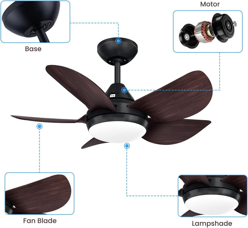 Ceiling Fans with Lights 22 inch Quiet Ceiling Fan Large Airflow Remote Control 3 Color Temperature for Bedroom Kitchen Dining Room Patio