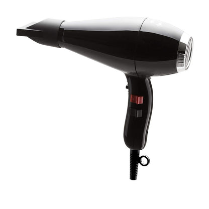 Hair Dryer, 1875 Watts Fast Drying Blow Dryer with Diffuser and Concentrator, Compact Lightweight Hair Dryer for Women and Men