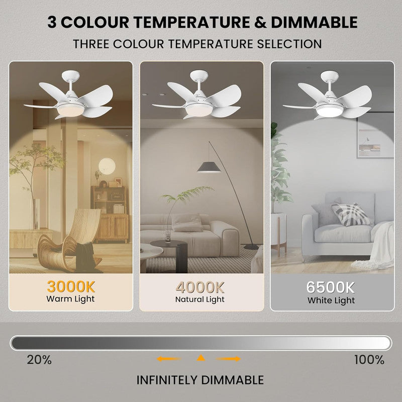 Ceiling Fans with Lights and Remote - Socket Fan Light with Dimmable Led Light Bulb, 3 Colors 3000K-6500K, 2000 Lumens, Screw in Small Ceiling Fan for Bedroom Living Room Kitchen Garage