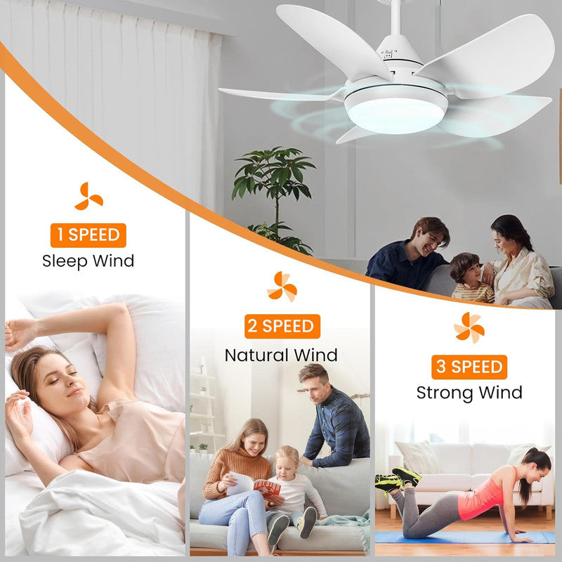 Ceiling Fans with Lights and Remote - Socket Fan Light with Dimmable Led Light Bulb, 3 Colors 3000K-6500K, 2000 Lumens, Screw in Small Ceiling Fan for Bedroom Living Room Kitchen Garage