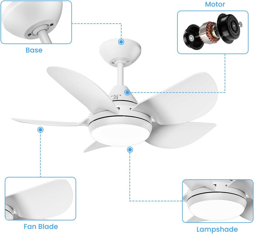 Ceiling Fans with Lights and Remote - Socket Fan Light with Dimmable Led Light Bulb, 3 Colors 3000K-6500K, 2000 Lumens, Screw in Small Ceiling Fan for Bedroom Living Room Kitchen Garage