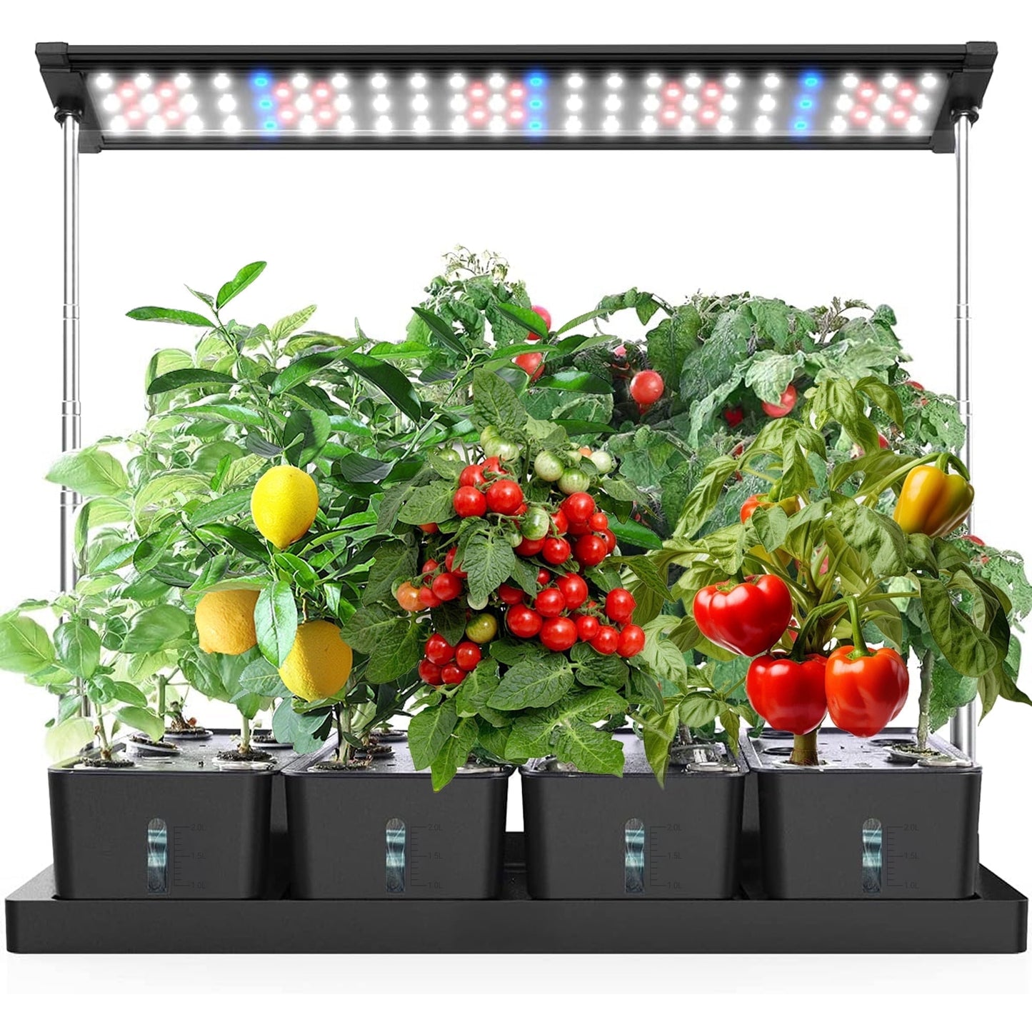 Indoor Hydroponics Growing System - 20 Pods Indoor Herb Garden with LED Grow Light Automatic Timer, Hydroponic Garden Planter, Gifts for Plant Lovers