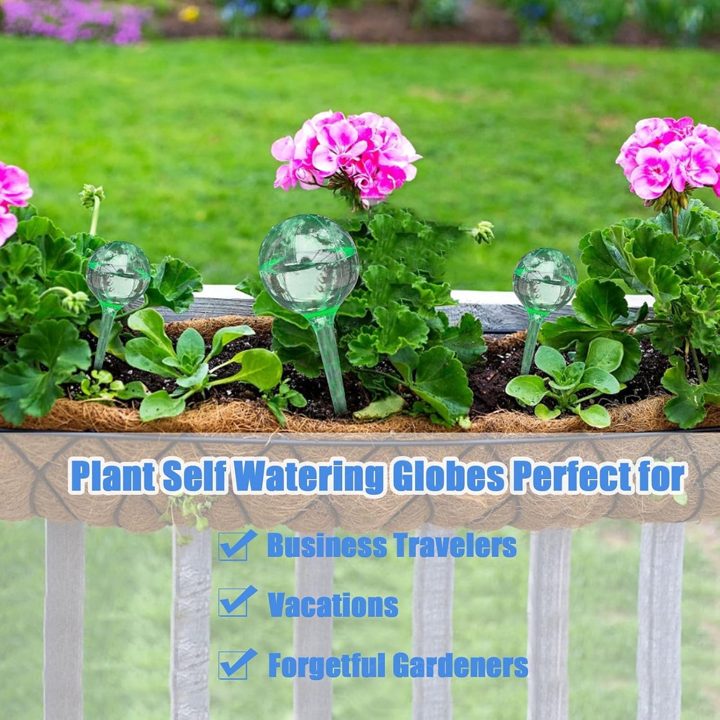 12pcs Plant Watering Globes,Lazy Person Watering Tool£¬Plant Automatic Waterer Self Watering Bulbs for Indoor Outdoor Potter Plants